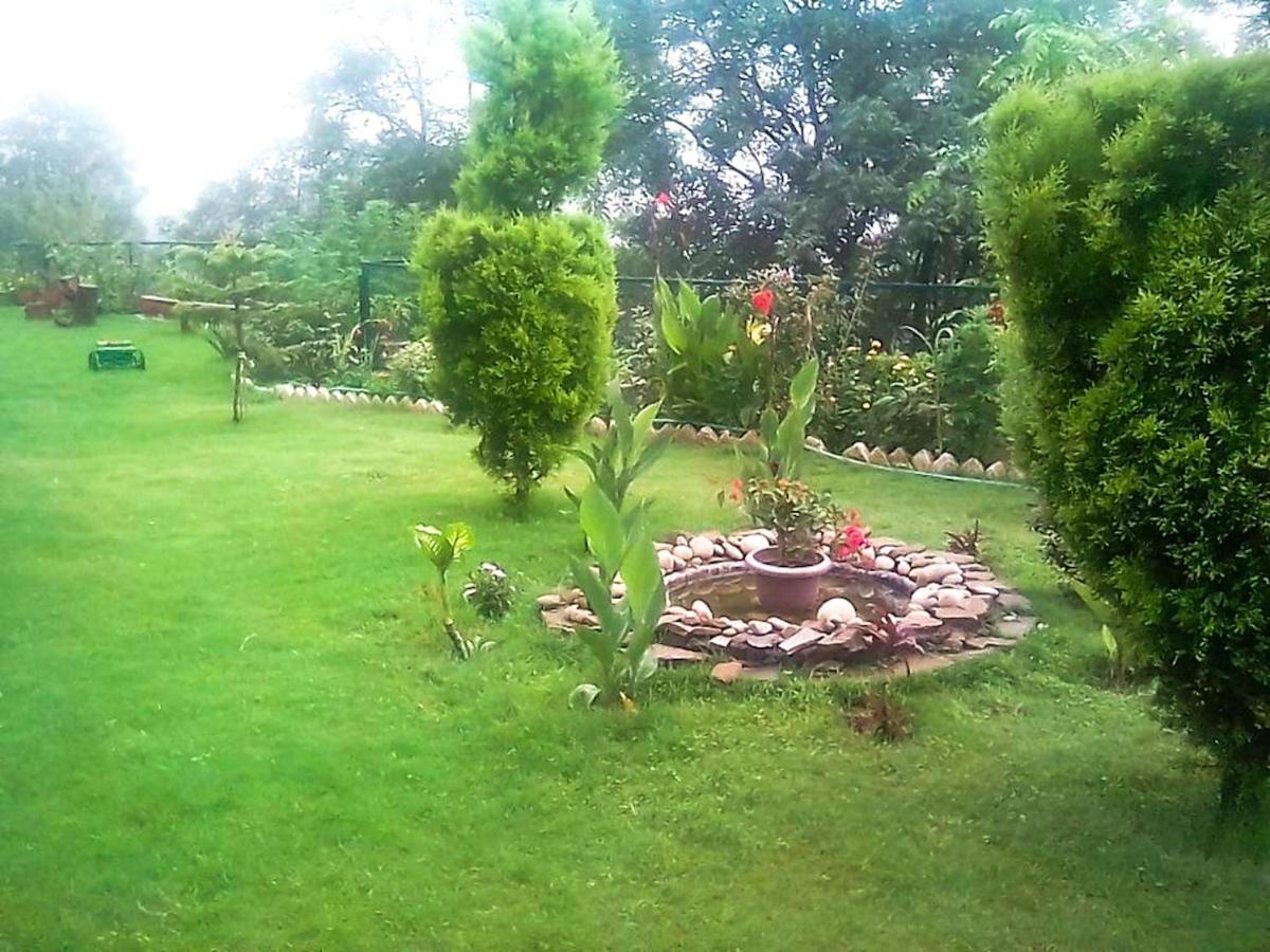 Wildleaf Kasauli Valley Homz Bed and Breakfast Exteriör bild