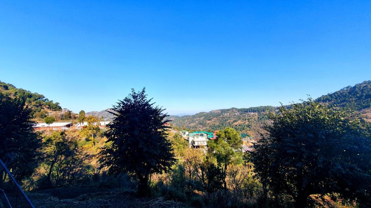 Wildleaf Kasauli Valley Homz Bed and Breakfast Exteriör bild